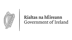 02-irish-government